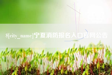 盱眙宁夏消防报名入口官网公告