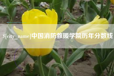 盱眙中国消防救援学院历年分数线
