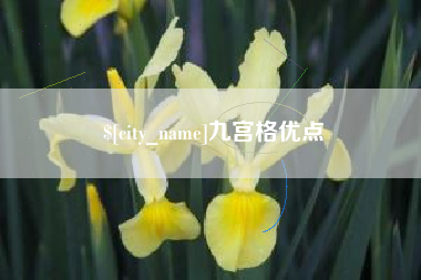 盱眙九宫格优点