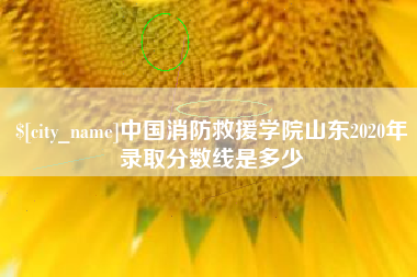 盱眙中国消防救援学院山东2020年录取分数线是多少