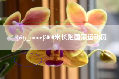 盱眙5000米长跑国家运动员
