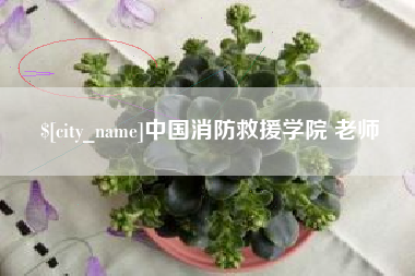 盱眙中国消防救援学院 老师