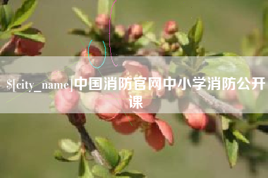 盱眙中国消防官网中小学消防公开课