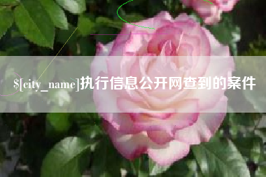 盱眙执行信息公开网查到的案件