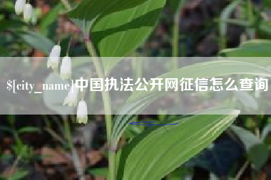 盱眙中国执法公开网征信怎么查询