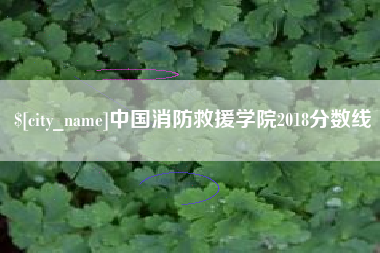 盱眙中国消防救援学院2018分数线