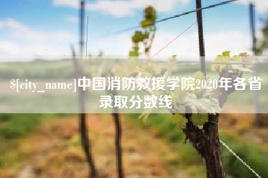 盱眙中国消防救援学院2020年各省录取分数线
