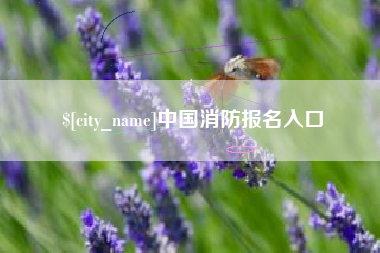 盱眙中国消防报名入口