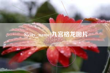 盱眙九宫格龙图片