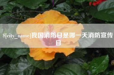 盱眙我国消防日是哪一天消防宣传日
