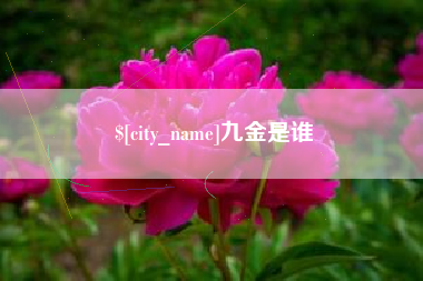 盱眙九金是谁