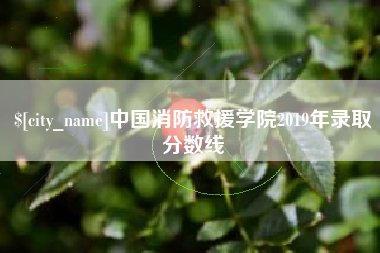 盱眙中国消防救援学院2019年录取分数线
