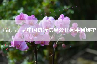 盱眙中国执行信息公开网平台维护