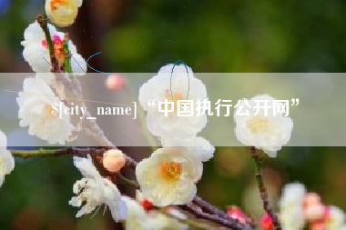 盱眙“中国执行公开网”