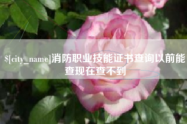 盱眙消防职业技能证书查询以前能查现在查不到