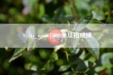 盱眙5000米及格成绩