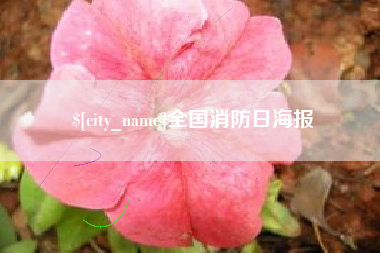 盱眙全国消防日海报