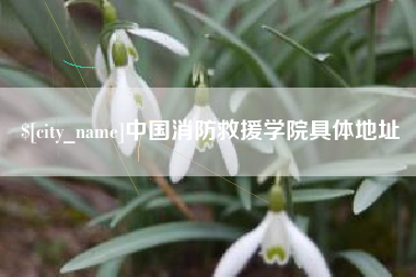 盱眙中国消防救援学院具体地址