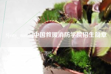 盱眙中国救援消防学院招生简章