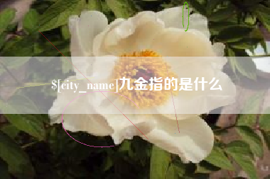 盱眙九金指的是什么
