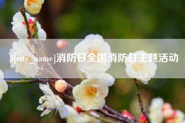 盱眙消防日全国消防日主题活动
