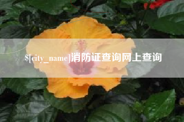 盱眙消防证查询网上查询