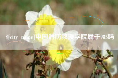盱眙中国消防救援学院属于985吗