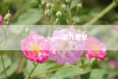 盱眙第九金是