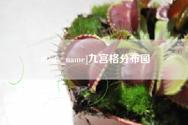 盱眙九宫格分布图