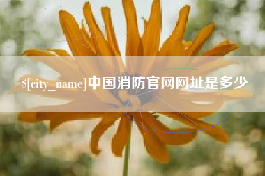 盱眙中国消防官网网址是多少