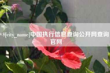 盱眙中国执行信息查询公开网查询官网