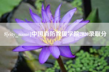 盱眙中国消防救援学院2020录取分