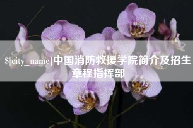 盱眙中国消防救援学院简介及招生章程指挥部
