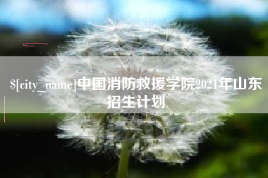 盱眙中国消防救援学院2021年山东招生计划