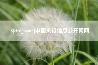 盱眙中国执行信息公开网网