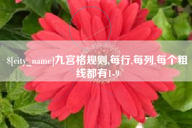盱眙九宫格规则,每行,每列,每个粗线都有1-9