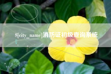 盱眙消防证初级查询系统