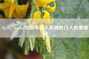 盱眙中国失信人员被执行人名单查询
