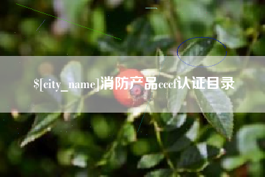 盱眙消防产品cccf认证目录
