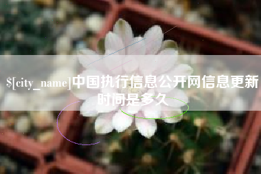 盱眙中国执行信息公开网信息更新时间是多久