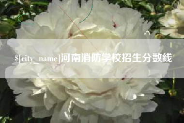 盱眙河南消防学校招生分数线