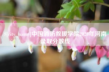 盱眙中国消防救援学院2020年河南录取分数线