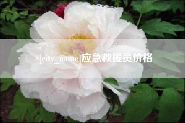 盱眙应急救援员价格