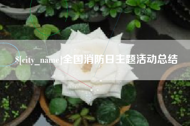盱眙全国消防日主题活动总结