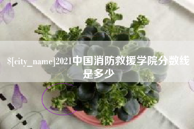 盱眙2021中国消防救援学院分数线是多少