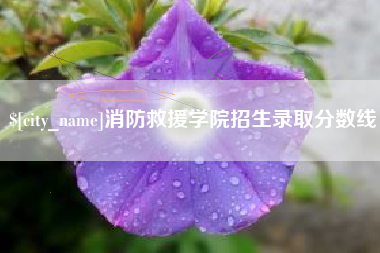 盱眙消防救援学院招生录取分数线
