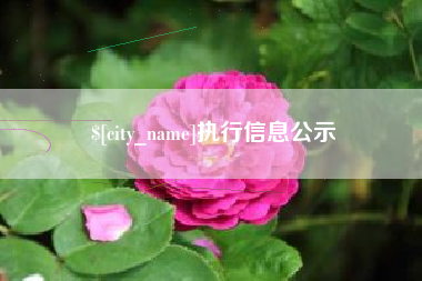 盱眙执行信息公示