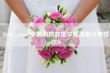 盱眙中国消防救援学院录取分数线2020