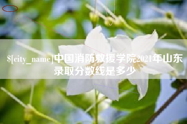 盱眙中国消防救援学院2021年山东录取分数线是多少