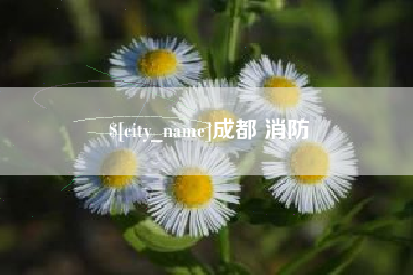 盱眙成都 消防